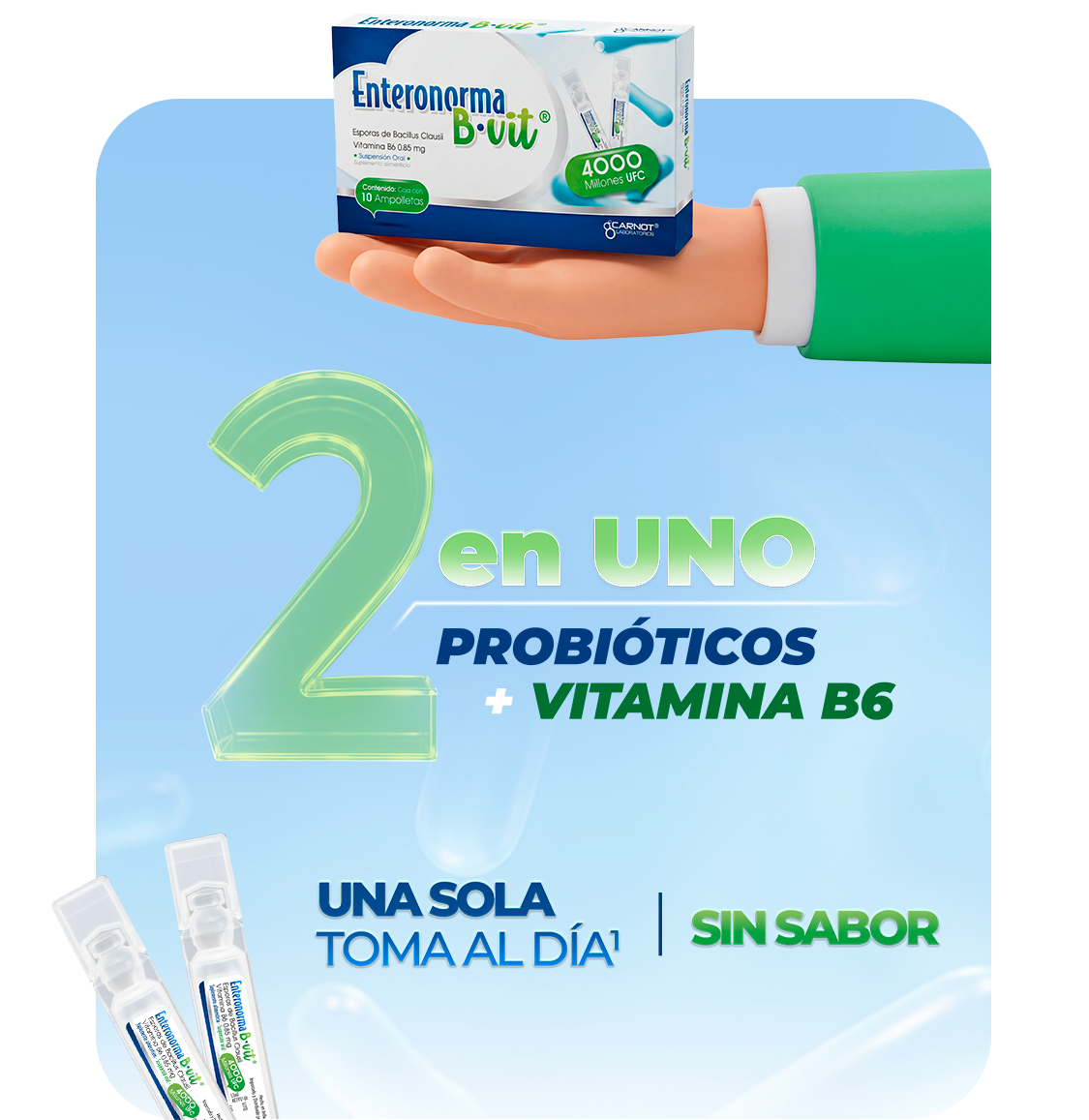 Características Enteronorma B-Vit
