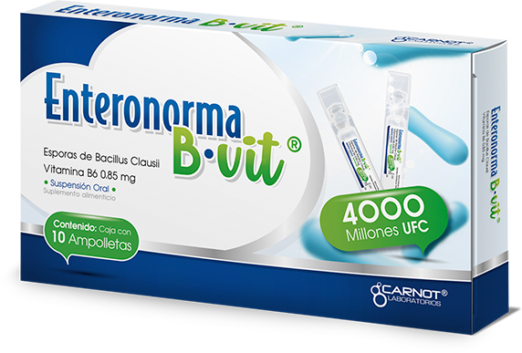 Enteronorma B-Vit